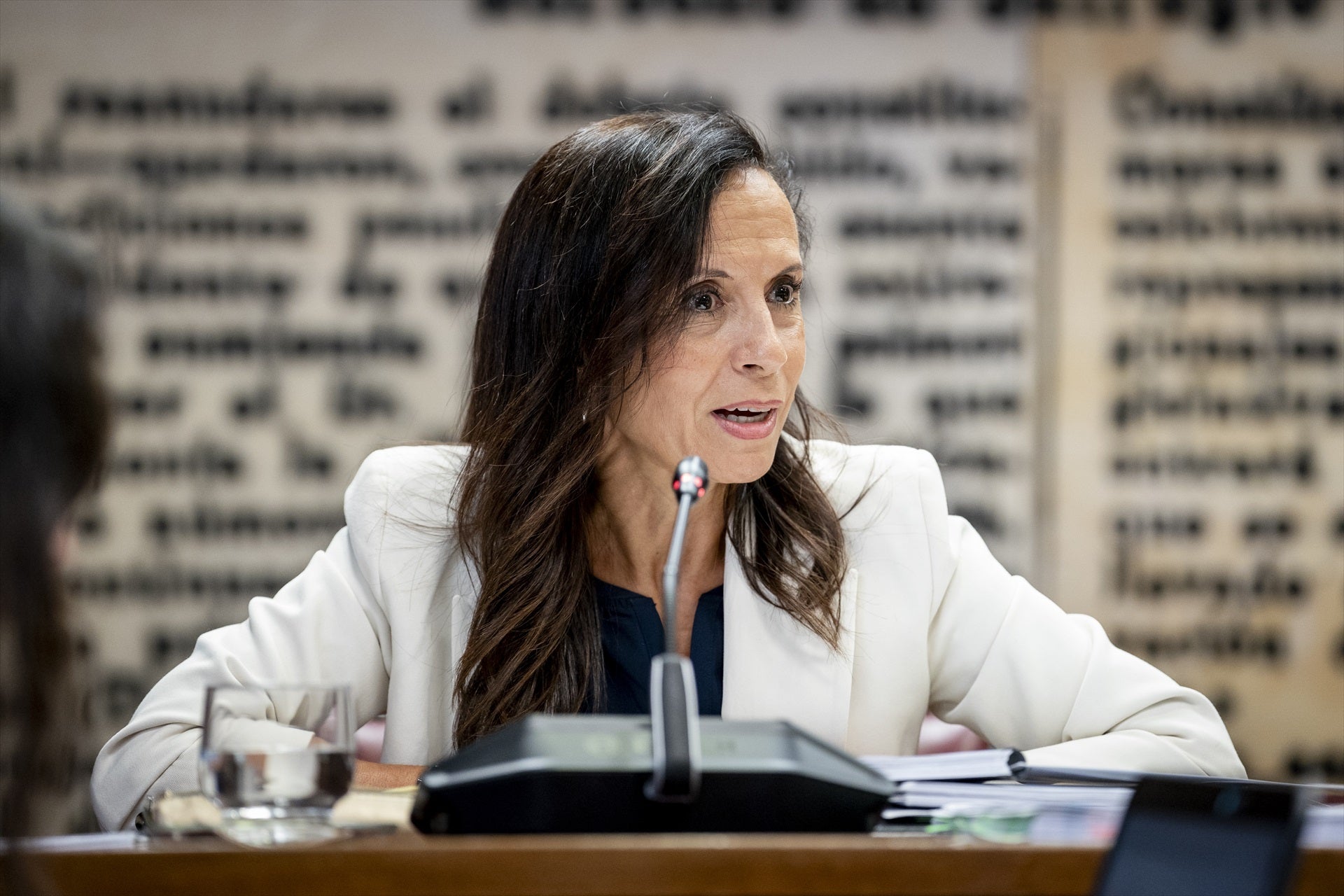 Beatriz Corredor culpa a las eléctricas del apagón por un "experimento" en una planta de Badajoz Beatriz Corredor culpa a las eléctricas del apagón por un "experimento" en una planta de Badajoz