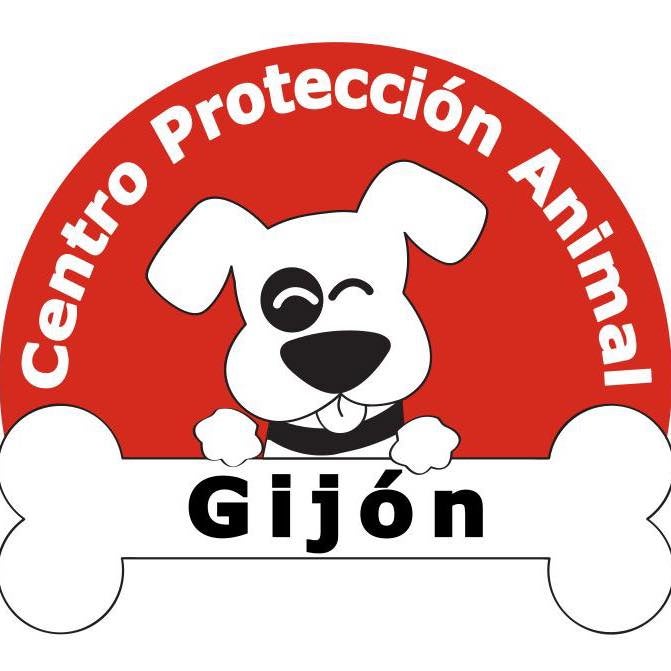 Perros y gatos buscan nuevo mejor amigo Perros y gatos buscan nuevo mejor amigo