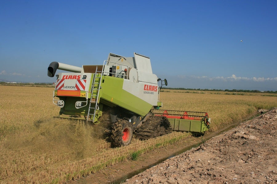 UPA-UCE Extremadura alerta que las importaciones masivas de arroz de países de fuera de Europa están hundiendo el mercado UPA-UCE Extremadura alerta que las importaciones masivas de arroz de países de fuera de Europa están hundiendo el mercado
