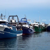 Embarcacions al Port de Tarragona Embarcacions al Port de Tarragona