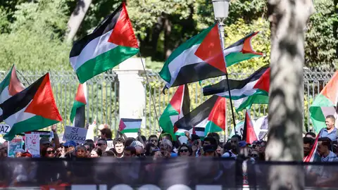 manifestantes pro Palestina manifestantes pro Palestina