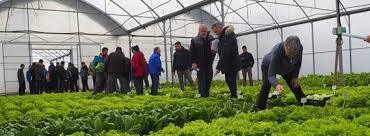 Se inaugura el LIV Seminario de Técnicos y Especialistas en Horticultura Se inaugura el LIV Seminario de Técnicos y Especialistas en Horticultura