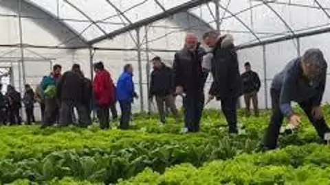 Horticultura Horticultura