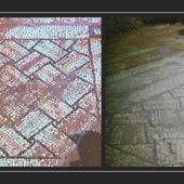 Riaguas de San Bartolomé da a conocer su pasado con una exposición y una conferencia sobre el mosaico romano de Briongos hallado hace 40 años 