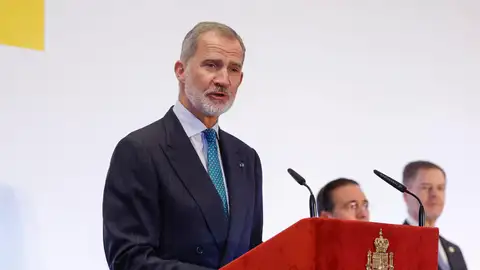 El rey Felipe VI califica la situación en Gaza como una "crisis humanitaria insoportable" El rey Felipe VI califica la situación en Gaza como una "crisis humanitaria insoportable"