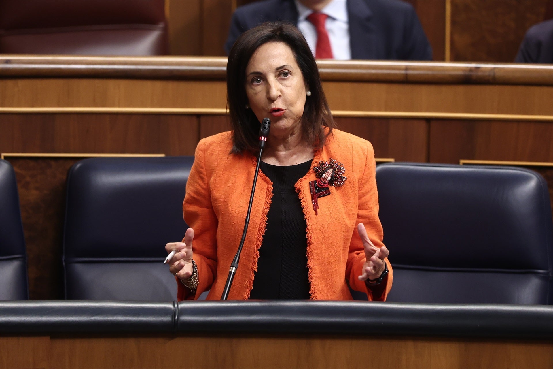 Robles niega que existan discrepancias en el Gobierno por el embargo de armas a Israel Robles niega que existan discrepancias en el Gobierno por el embargo de armas a Israel