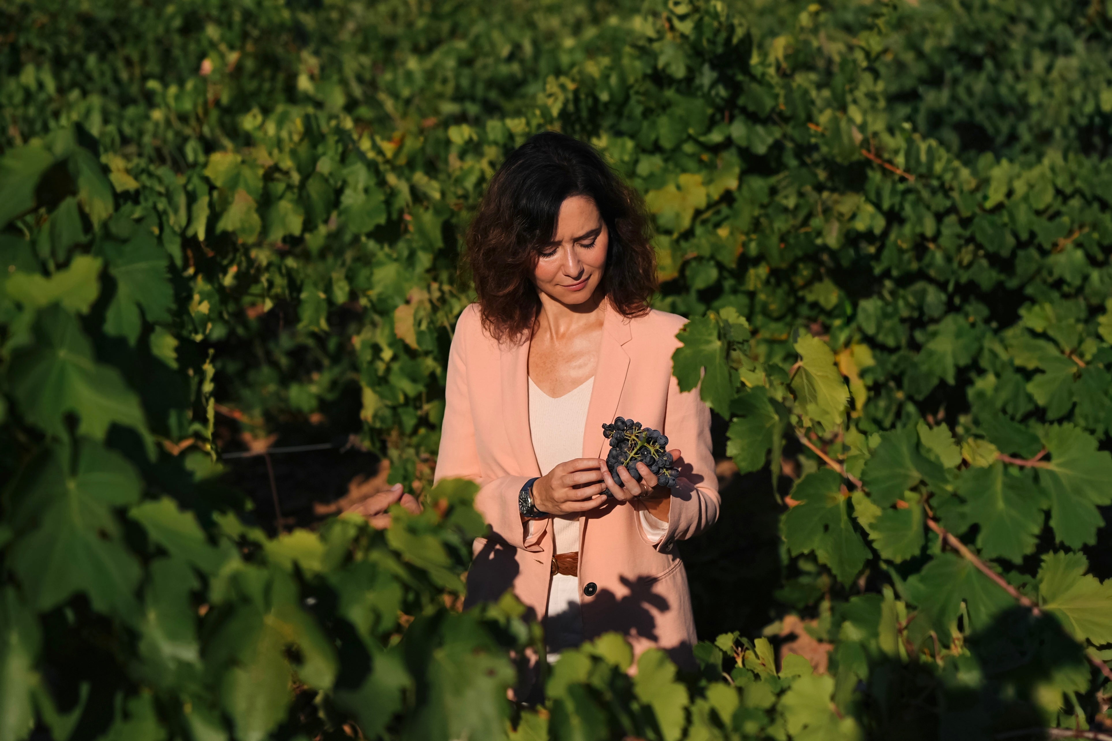 La Comunidad de Madrid niega instrucciones a centros educativos para retirar banderas palestinas La Comunidad de Madrid niega instrucciones a centros educativos para retirar banderas palestinas