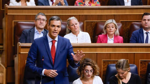  El presidente del Gobierno, Pedro S&aacute;nchez, durante la sesi&oacute;n de control en el Congreso de los Diputados