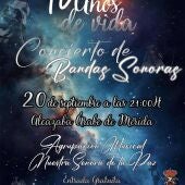 Cartel el concierto