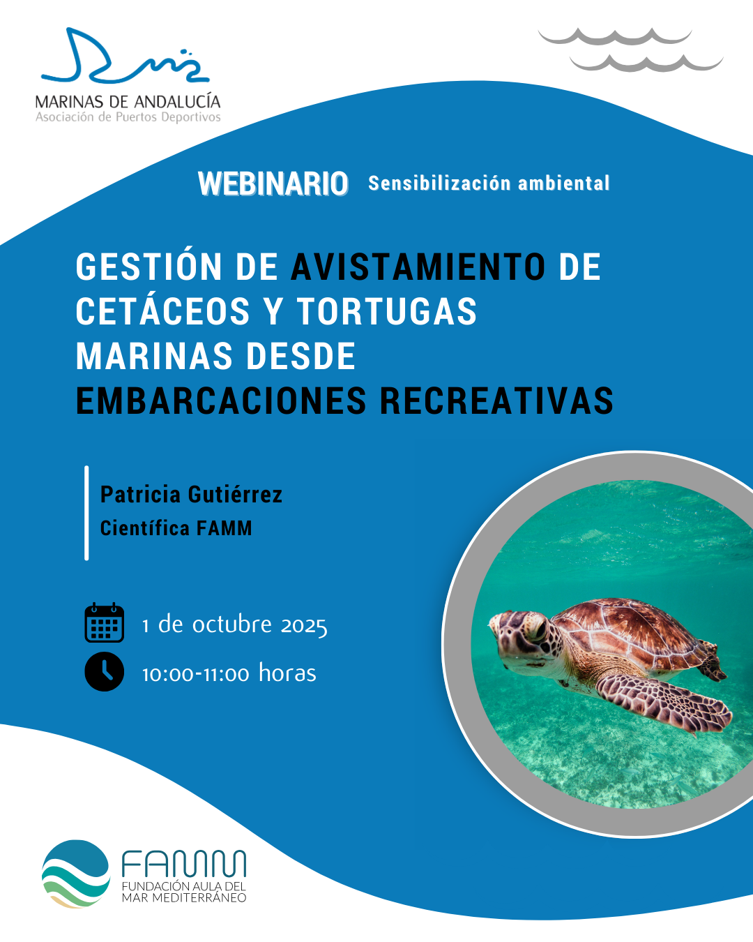 Marinas de Andalucía pone en marcha un nuevo webinario para promover una navegación más respetuosa con el medio marino Marinas de Andalucía pone en marcha un nuevo webinario para promover una navegación más respetuosa con el medio marino