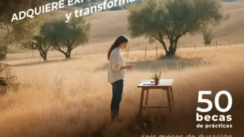 Cincuenta titulados de la UEx realizarán prácticas durante seis meses en empresas del entorno rural extremeño Cincuenta titulados de la UEx realizarán prácticas durante seis meses en empresas del entorno rural extremeño