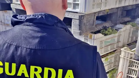 Investigados siete vecinos de Badajoz por su implicación el robo de más de 1.000 kilos de uva en Valdebótoa Investigados siete vecinos de Badajoz por su implicación el robo de más de 1.000 kilos de uva en Valdebótoa