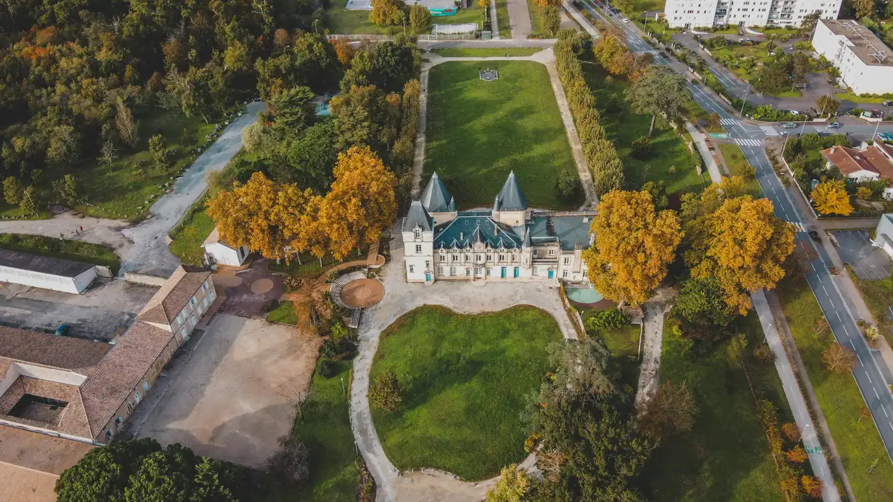 Castillos del vino en Burdeos: ruta por los mejores châteaux durante la vendimia