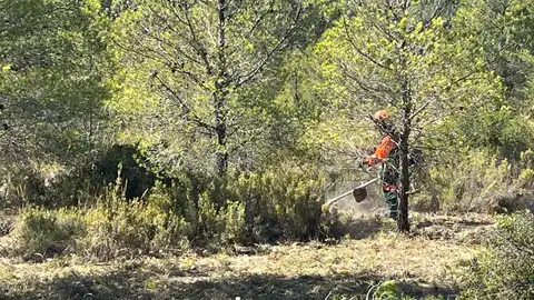El Ayuntamiento de Petrer impulsa la creación de una faja auxiliar de protección en la carretera del Xorret de Catí. El Ayuntamiento de Petrer impulsa la creación de una faja auxiliar de protección en la carretera del Xorret de Catí.