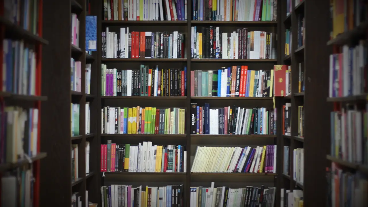 Una librería para zurdos en el casco antiguo de Pamplona