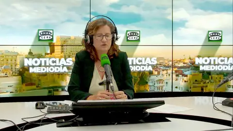 Elena Gijón: "No se puede generar más temor en mujeres víctimas de violencia" Elena Gijón: "No se puede generar más temor en mujeres víctimas de violencia"