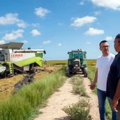Vicent Mompó en los arrozales de Sueca Vicent Mompó en los arrozales de Sueca