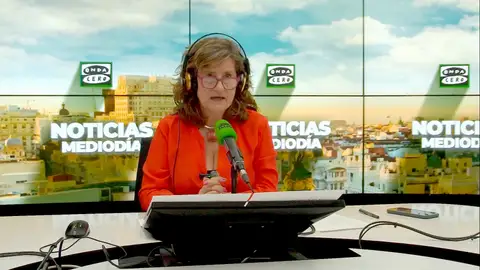 Elena Gijón: "El PSOE no puede contener la hemorragia entre los socios" Elena Gijón: "El PSOE no puede contener la hemorragia entre los socios"