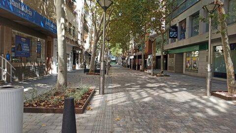 Peatonalizaci&oacute;n de la Avenida Rey Santo