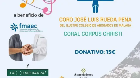 El Colegio de Aparejadores acoge un concierto solidario para ampliar La Casa de la Esperanza El Colegio de Aparejadores acoge un concierto solidario para ampliar La Casa de la Esperanza