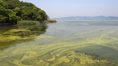 PSOE pide á deputación de Ourense controis do auga por contaminación en As Conchas PSOE pide á deputación de Ourense controis do auga por contaminación en As Conchas