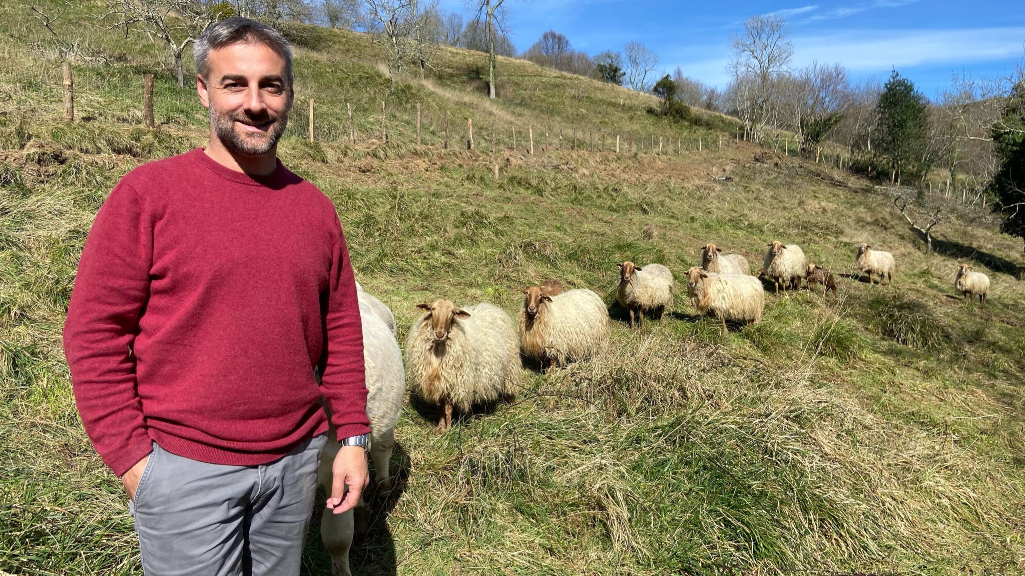 Ganadería e Ingeniería Gerardo Ganadería e Ingeniería Gerardo