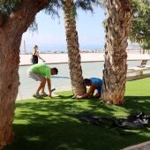 Benidorm avanza en la mejora paisajística del Paseo de Poniente con la instalación de islas de césped artificial y más de 3.000 nuevas plantas