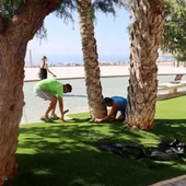 Benidorm avanza en la mejora paisajística del Paseo de Poniente con la instalación de islas de césped artificial y más de 3.000 nuevas plantas Benidorm avanza en la mejora paisajística del Paseo de Poniente con la instalación de islas de césped artificial y más de 3.000 nuevas plantas