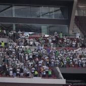Seguidores del Elche en el Metropolitano.