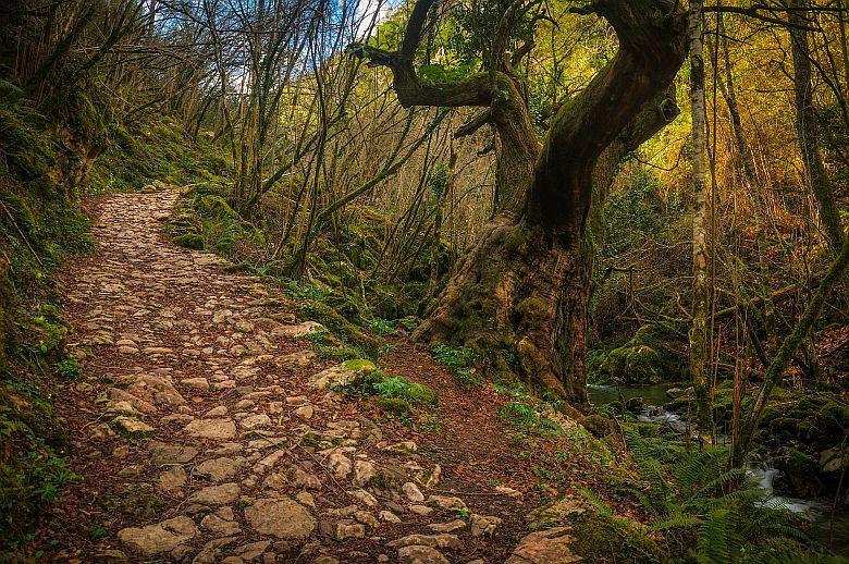 Un otoño que entra "sin contemplaciones" Un otoño que entra "sin contemplaciones"