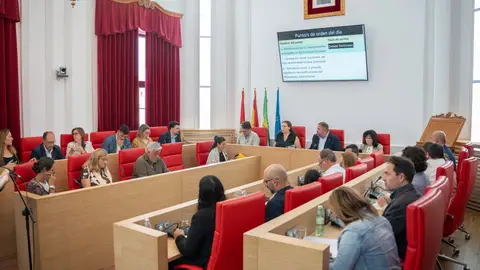 Se aprueba en pleno municipal el nuevo Plan de Movilidad Urbana Sostenible de Mérida Se aprueba en pleno municipal el nuevo Plan de Movilidad Urbana Sostenible de Mérida