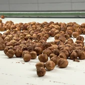 Avellanes a la cooperativa l'Avellanera de la Selva del Camp Avellanes a la cooperativa l'Avellanera de la Selva del Camp