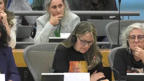 Rosa Álvarez, presidenta de la Asociación Víctimas Mortales Dana 29 de octubre, interviene en la Comisión de Peticiones. Rosa Álvarez, presidenta de la Asociación Víctimas Mortales Dana 29 de octubre, interviene en la Comisión de Peticiones.