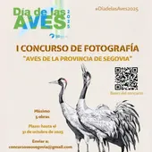 I Concurso de Fotografía I Concurso de Fotografía