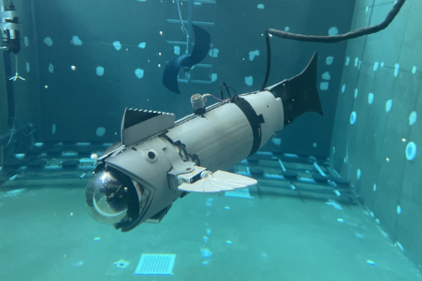 El peix robot desenvolupat pel CIRTESU-UJI i provat a PortCastelló rep el guardó al millor treball en automàtica marina en l’àmbit nacional El peix robot desenvolupat pel CIRTESU-UJI i provat a PortCastelló rep el guardó al millor treball en automàtica marina en l’àmbit nacional