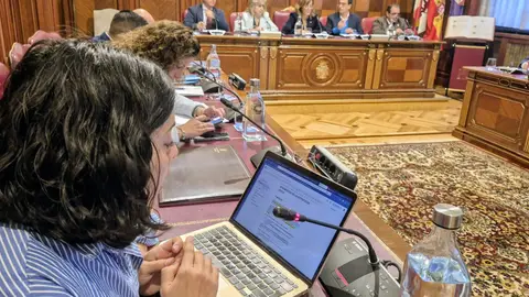 La Diputación de Palencia aprueba la Estrategia Joven .