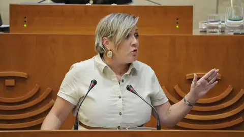 La Asamblea Reprueba a la Consejera de educación por el conflicto del Transporte Escolar en el inicio del Curso La Asamblea Reprueba a la Consejera de educación por el conflicto del Transporte Escolar en el inicio del Curso