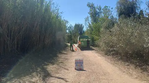 Burriana finaliza los trabajos de poda y retirada de material seco en el Clot para la prevención de incendios. Burriana finaliza los trabajos de poda y retirada de material seco en el Clot para la prevención de incendios.