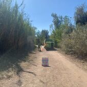 Burriana finaliza los trabajos de poda y retirada de material seco en el Clot para la prevención de incendios.