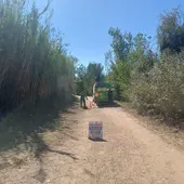 Burriana finaliza los trabajos de poda y retirada de material seco en el Clot para la prevención de incendios. Burriana finaliza los trabajos de poda y retirada de material seco en el Clot para la prevención de incendios.