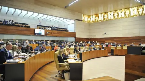 PP y Vox piden al Gobierno Central más ayudas para los afectados de los incendios PP y Vox piden al Gobierno Central más ayudas para los afectados de los incendios