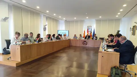 El pleno de Vila-real aprueba la bajada del 3% del IBI para el próximo 2026 El pleno de Vila-real aprueba la bajada del 3% del IBI para el próximo 2026