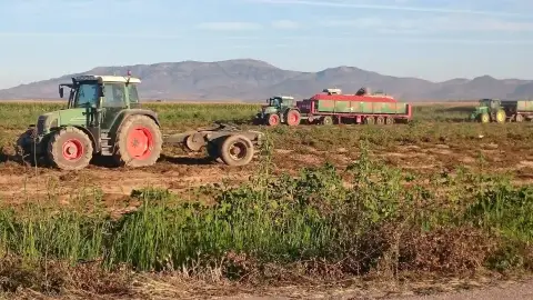 UPA-UCE cifra en 76 millones de euros las pérdidas para los productores de tomate en esta campaña UPA-UCE cifra en 76 millones de euros las pérdidas para los productores de tomate en esta campaña