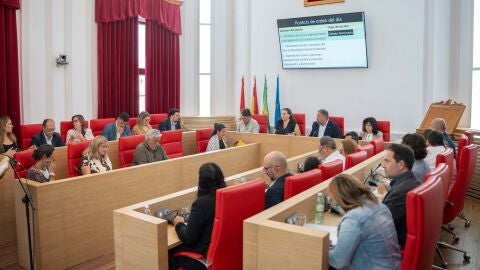 Pleno Ayto. M&eacute;rida