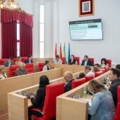 Pleno Ayto. Mérida