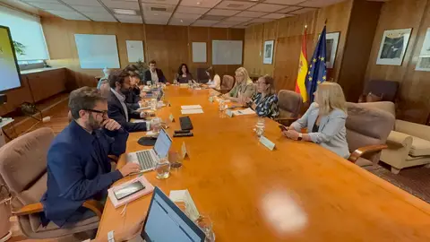 Morán destaca que el MITECO ha atendido "un porcentaje elevado" de las propuestas hechas a la planificación eléctrica Morán destaca que el MITECO ha atendido "un porcentaje elevado" de las propuestas hechas a la planificación eléctrica