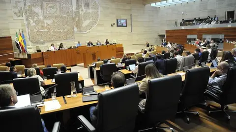 PSOE, Vox y Unidas por Extremadura suman votos para crear una Comisión de Investigación sobre los incendios forestales del verano PSOE, Vox y Unidas por Extremadura suman votos para crear una Comisión de Investigación sobre los incendios forestales del verano