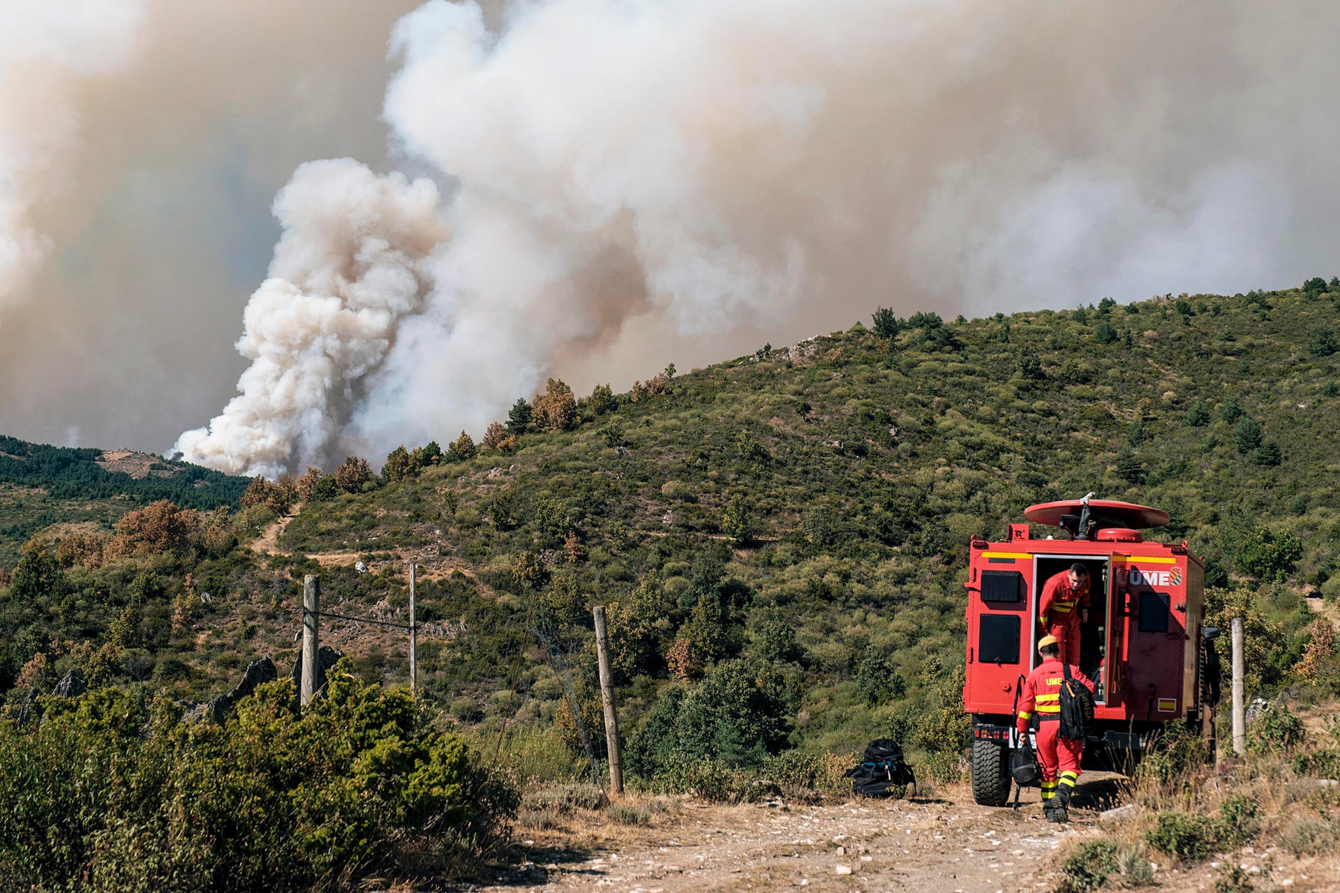 El incendio de Peñalba de la Sierra (Guadalajara) alcanza el nivel 2 y arrasa unas 2.400 hectáreas El incendio de Peñalba de la Sierra (Guadalajara) alcanza el nivel 2 y arrasa unas 2.400 hectáreas