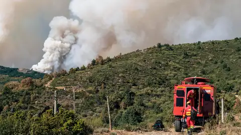 El incendio de Peñalba de la Sierra (Guadalajara) alcanza el nivel 2 y arrasa unas 2.400 hectáreas