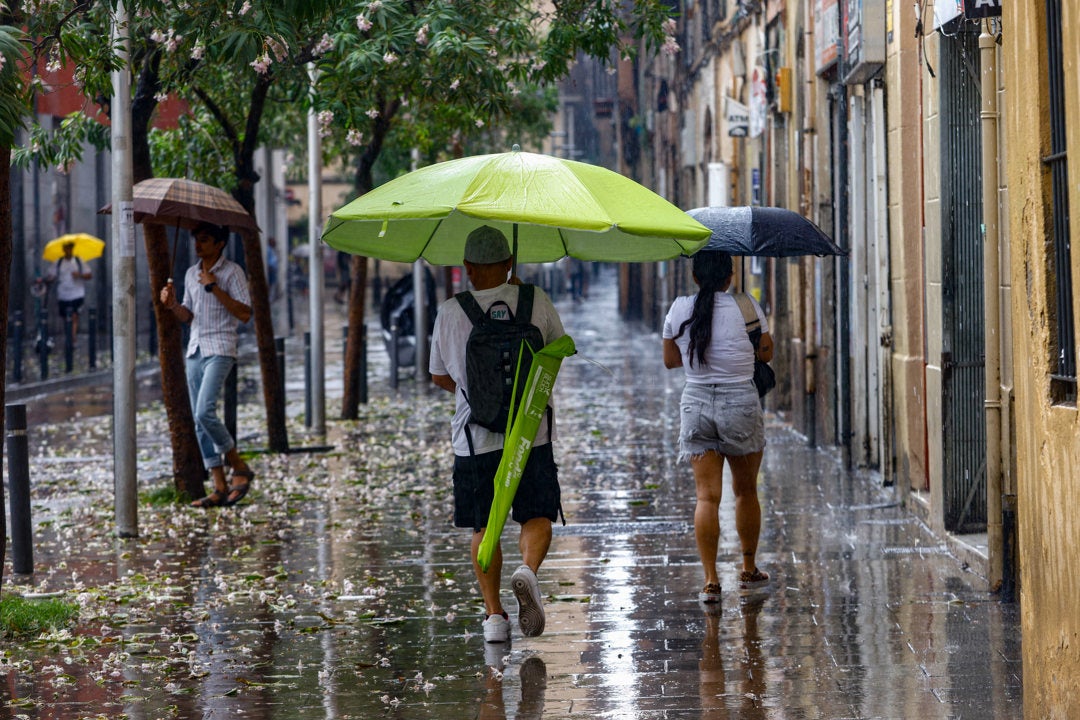 Valencia decreta la alerta roja por lluvias y suspende las clases en las pedanías afectadas por la DANA y zonas inundables Valencia decreta la alerta roja por lluvias y suspende las clases en las pedanías afectadas por la DANA y zonas inundables